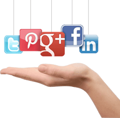 Top Social Media Platforms 